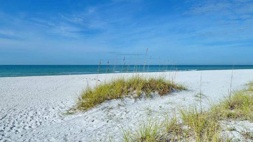 Beach Palms- Unit 102 Clearwater Beach Zewnętrze zdjęcie